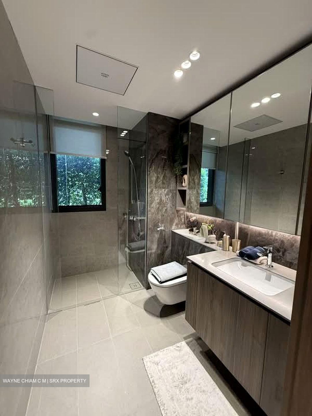 Clementi Avenue 1 (D5), Condominium #595483291